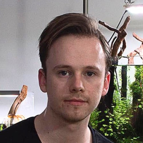 NIGEL HOEVENAAR