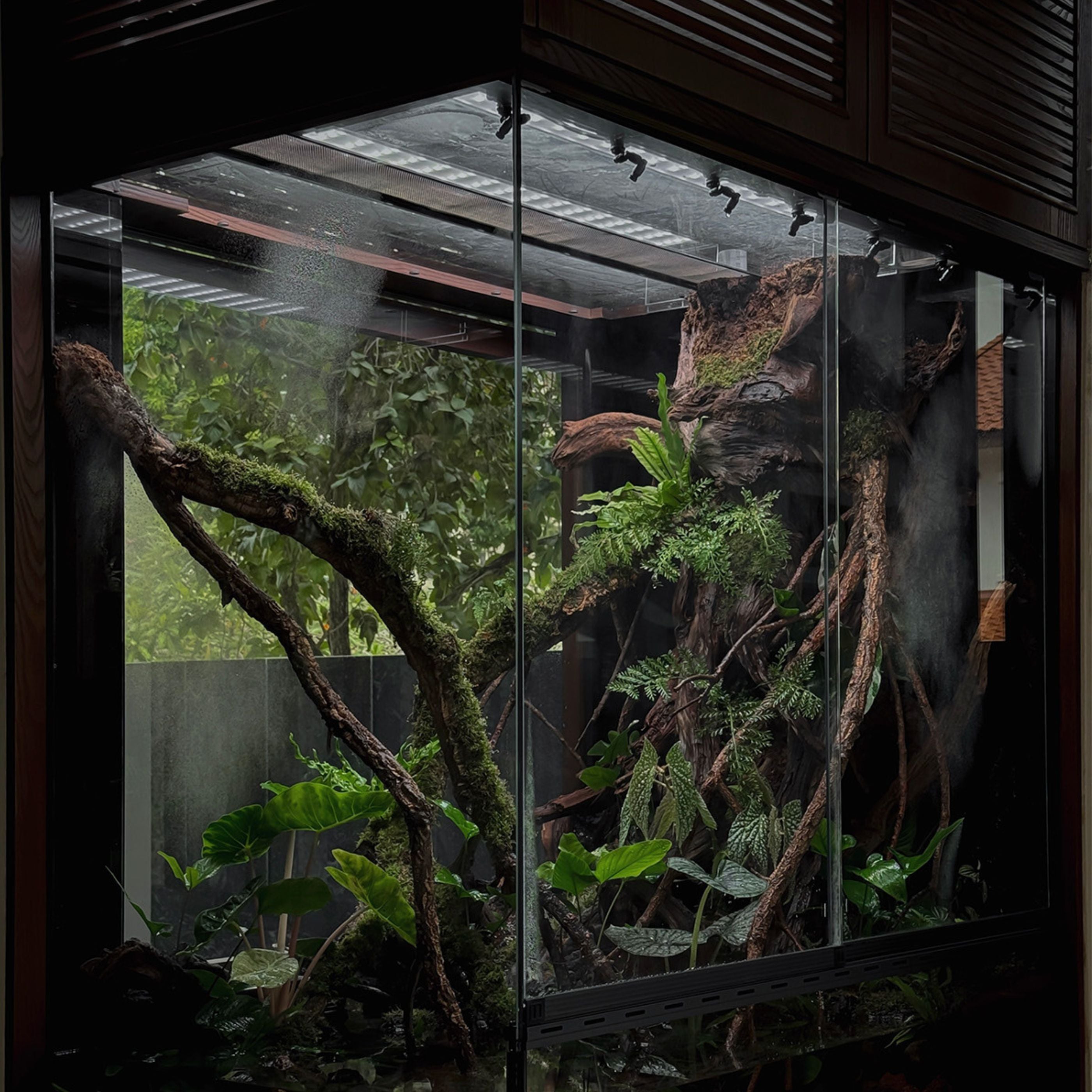 2Hr Aquarist APT Dew – The 2Hr Aquarist