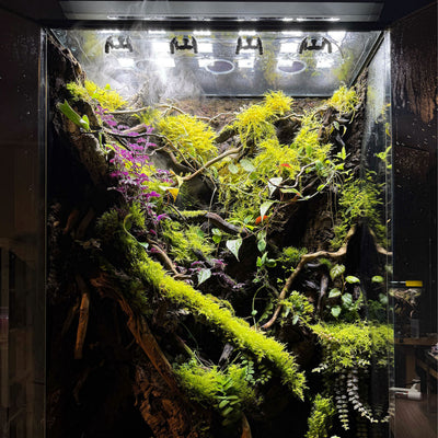 2Hr Aquarist APT Dew