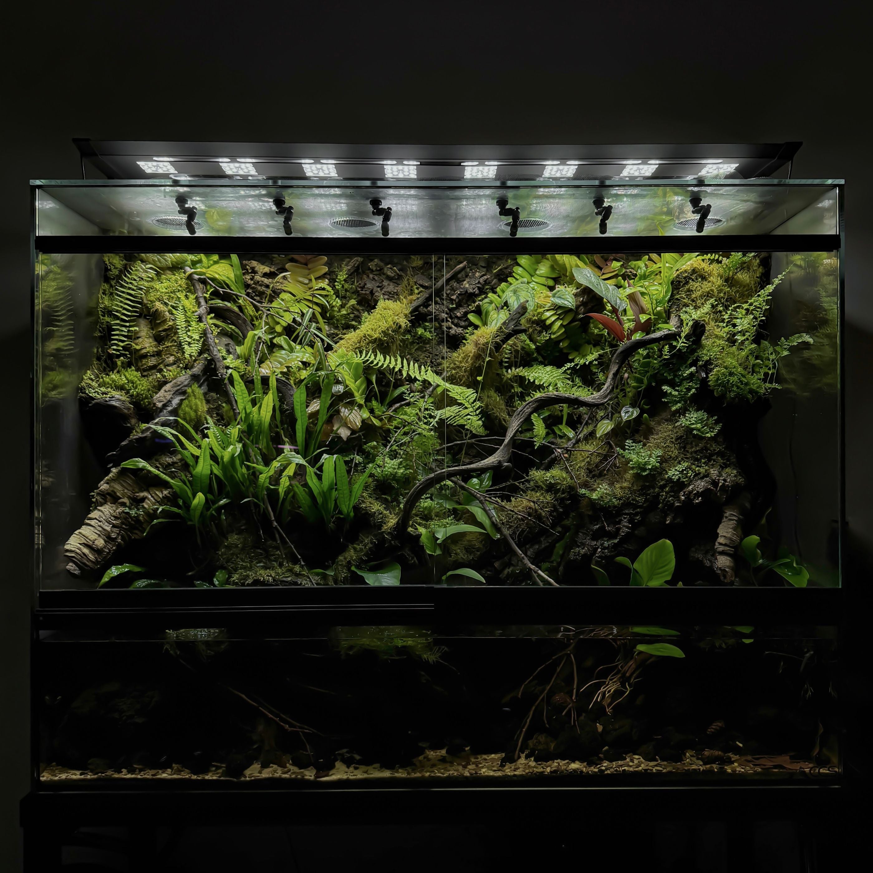 2Hr Aquarist APT Dew