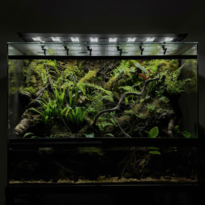 2Hr Aquarist APT Dew