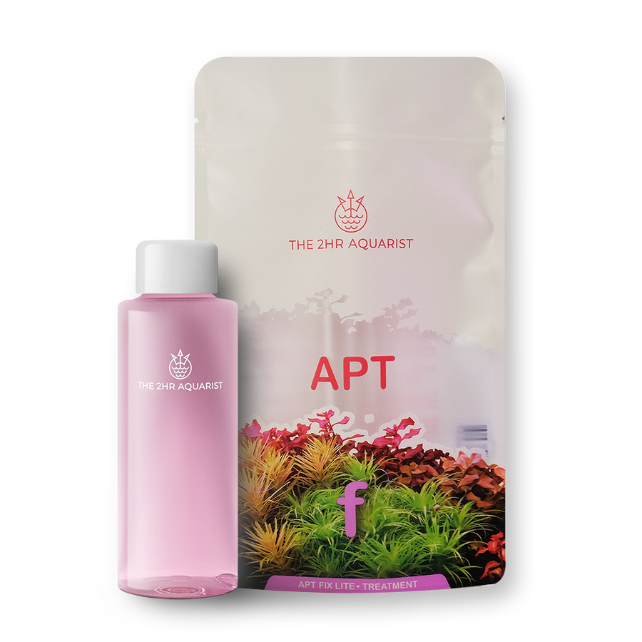 APT Fixlite algae treatment