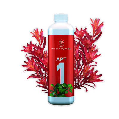 2Hr Aquarist APT 1