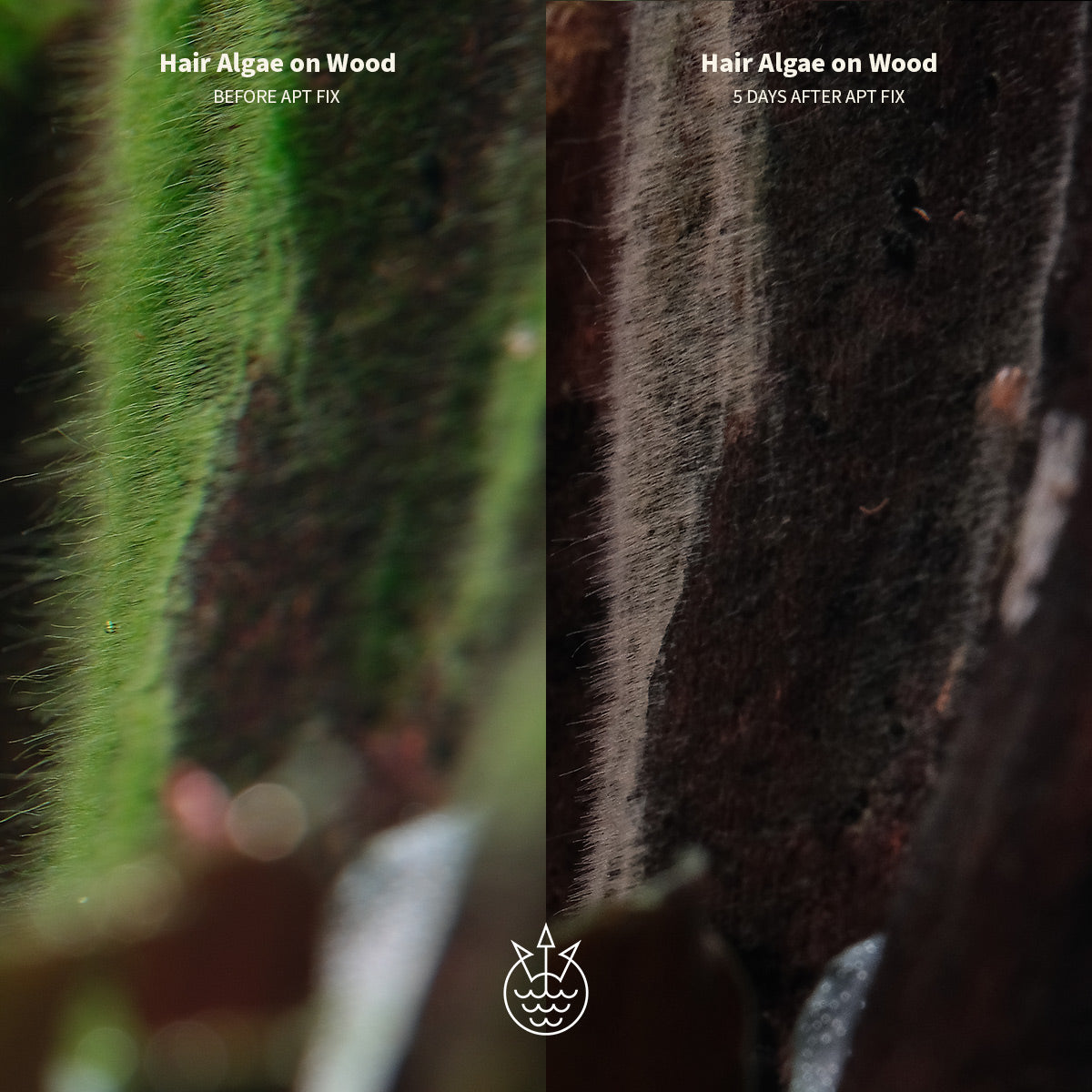 2Hr Aquarist APT Fix