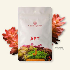 APT Jazz The best root tabs plant fertilizer for planted tanks