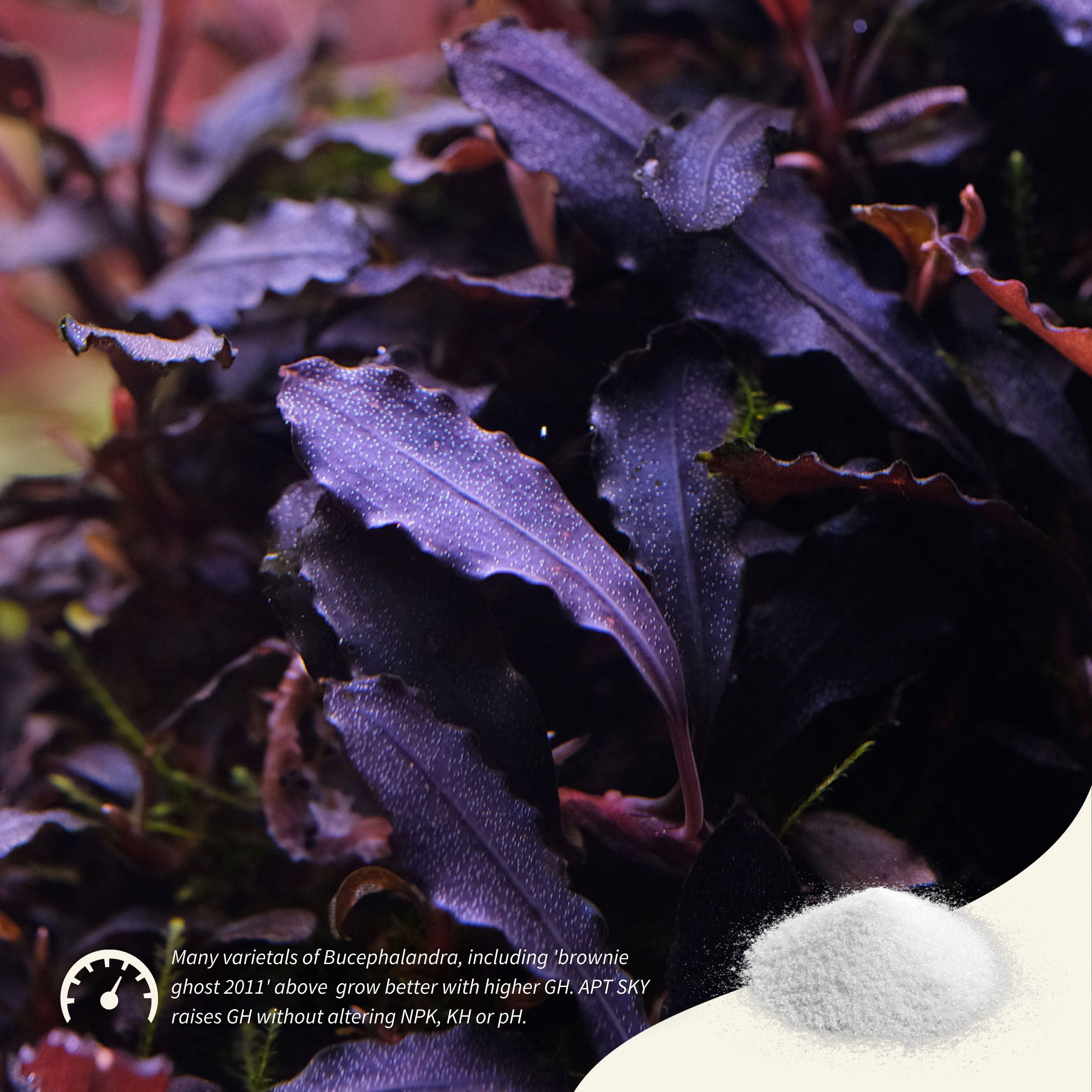 The 2Hr Aquarist APT SKY Water Booster The 2Hr Aquarist APT SKY Water Booster